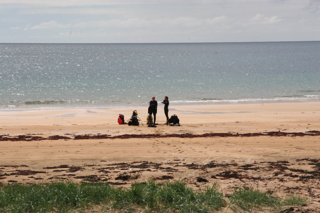 Leitin – Póstskipið Phönix&nbsp;(+1881)