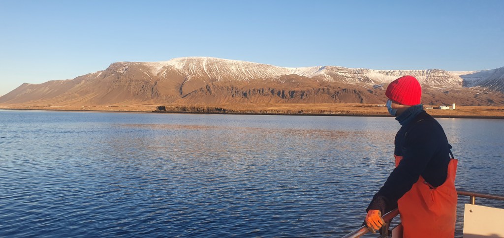 Underwater survey 2020